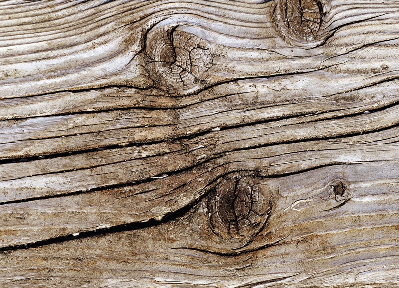 outdoors, tree, structure, timber, splitter, tree lines, wood grain, woods, 4K, full frame, close-up, oak, old wood, hardwood, grain, floor, rau, wood