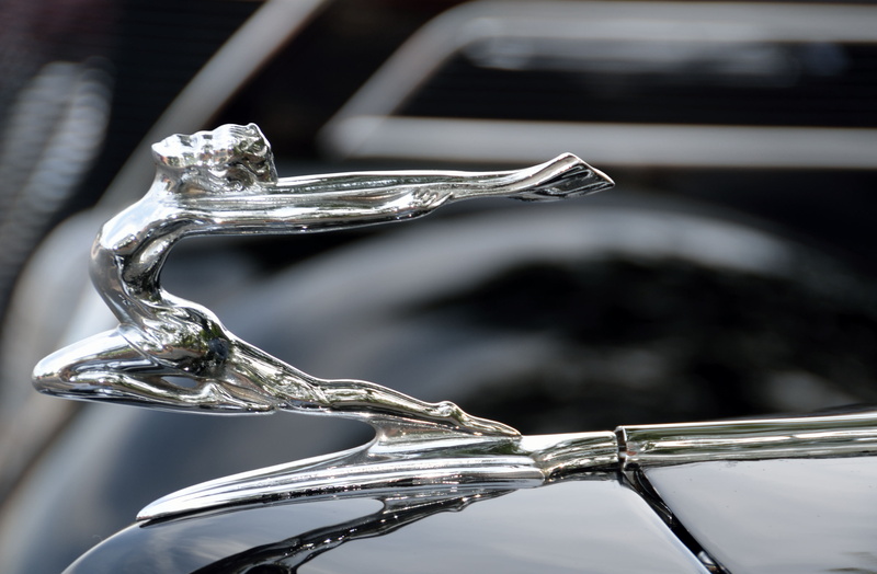 hood, still life, outdoor, white, silver, celebration, collector, nostalgia, transport, restoration, no people, focus on foreground, shiny, Design, usa
