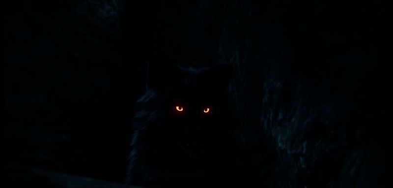 Assassins Creed: Valhalla, mythology, glowing eyes, dark, wolf, 2K, blue, video games, black, Assassins Creed, PC gaming