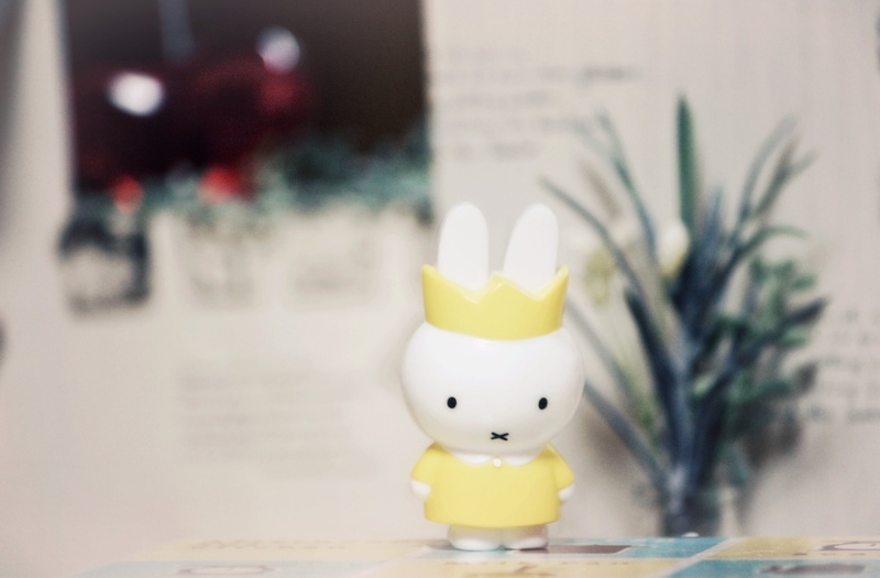 plant, yellow, 2K, isn, food and drink, representation, freshness, rubber duck, animal themes, indoors, happiness, animal, business, natchan, day, table