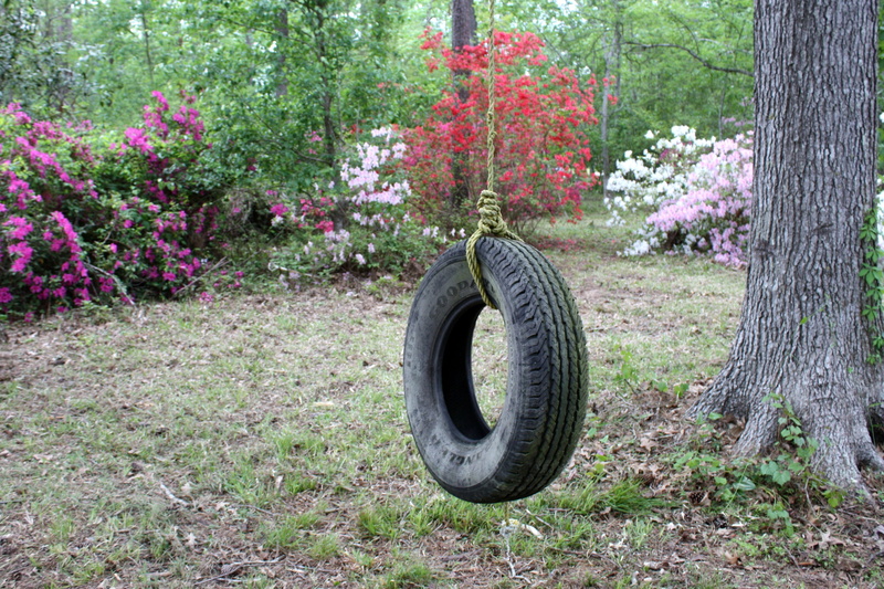 4K, plant, beauty in nature, field, hanging, flower, no people, growth, azaleas, rubber, geometric shape, nature, wheel, circle, tire swing, outdoors