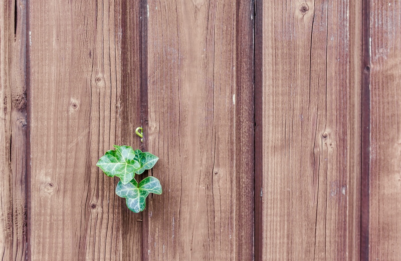 wood grain, security, wood - material, climber, outdoors, nature, ivy, wooden wall, paling, no people, wall, background, plank, protection, brown, textured