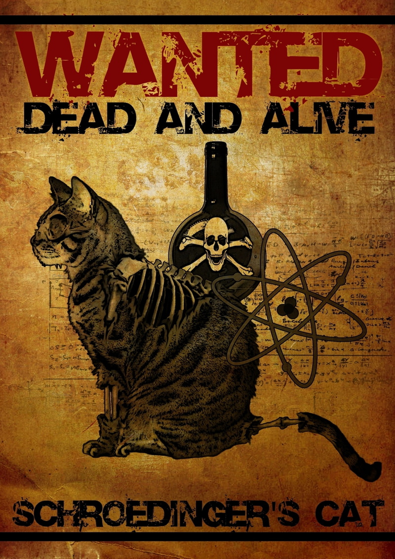 animals, schrdinger, 1080P, cats, hd, humor, wanted, art, x, posters, science