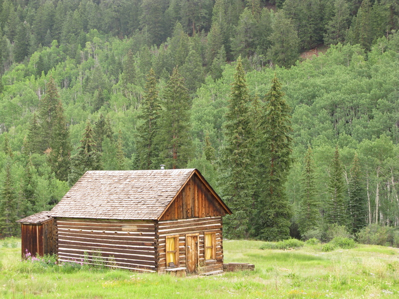 abandoned, nature, ghost, built structure, hut, growth, cottage, old, history, beauty in nature, ghost town, plant, house, ruin, scenics - nature, pine tree