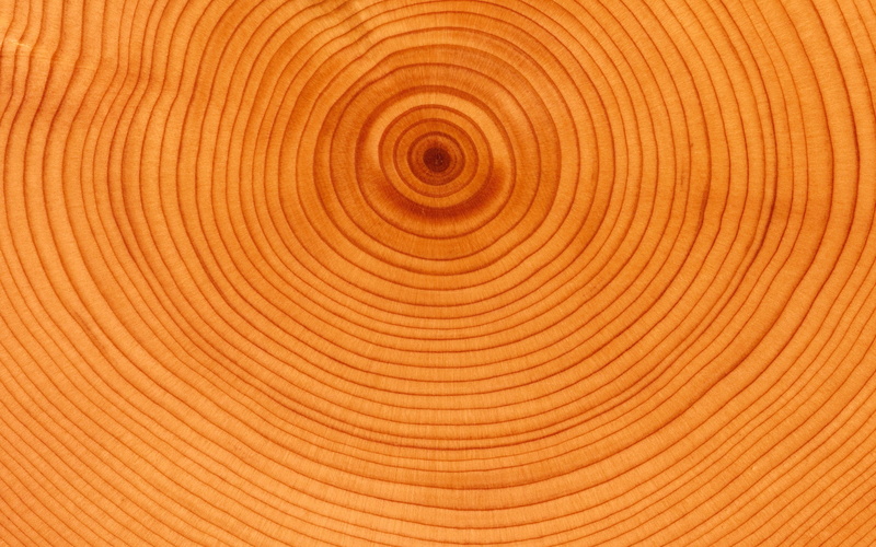 background, no people, tree, textured, nature, slice, curve, backgrounds, tree ring, material, full frame, abstract, cross section, backdrop, wood grain