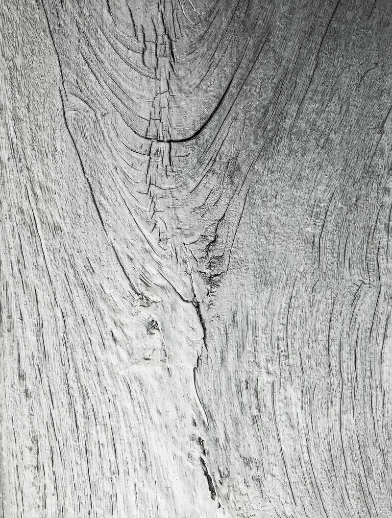 tree, pattern, textured, wood grain, close-up, plant, wooden, no people, phonewallpaper, outdoors, day, rough, nature, cracked, backgrounds