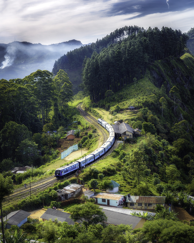 train, tree, day, birds eye view, scenics - nature, cloud - sky, transportation, perspective, high angle view, transportation system, 4K, drone photography