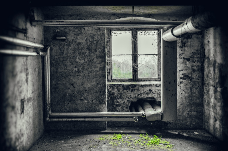 messy, dirty, cellar, entrance, green, abandoned, house, day, door, cobwebs, run-down, noise, building, old, damaged, built structure, ruined, decline
