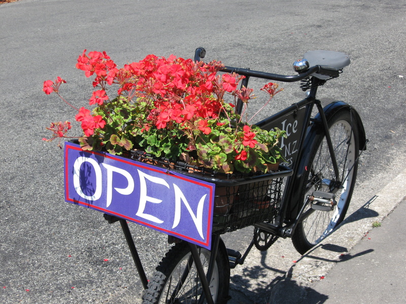 botanical, Natural, transportation, bunch of flowers, growth, sport, Bloom, land vehicle, outdoors, wheel, cycling, street, wildflower, stem, petal, 2K