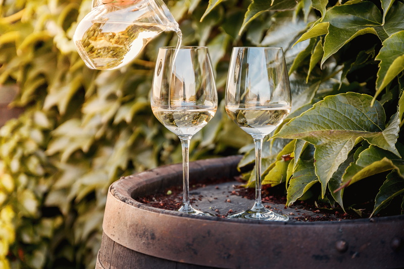wine, glasses, two, outdoors, focus on foreground, wineglass, day, household equipment, refreshment, pouring, drink, food and drink, glass, plant, food