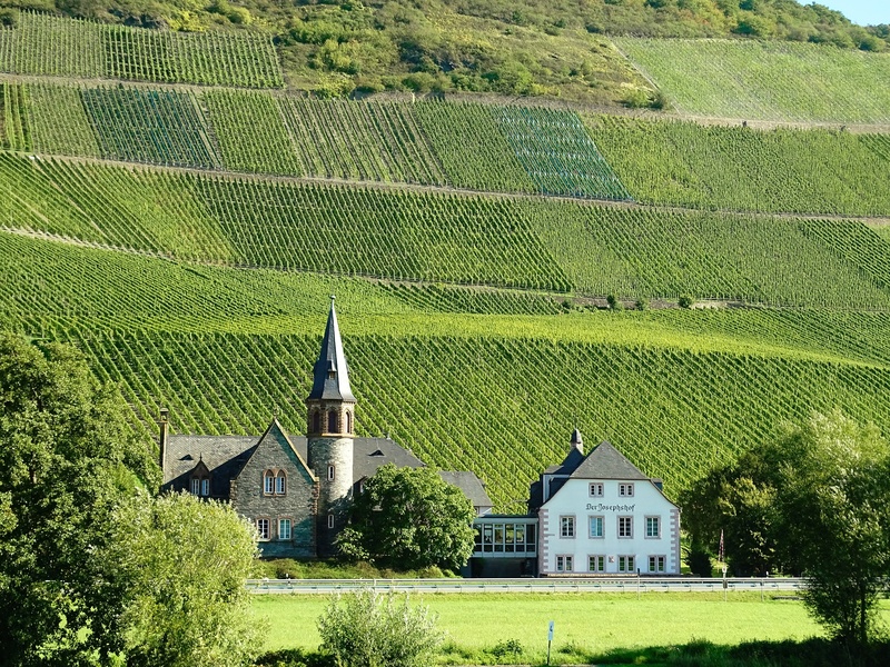 grass, building exterior, green, green color, growth, building, wine, field, landscape, no people, house, mosel, plant, 5K, tree, religion, sachsen, place of worship