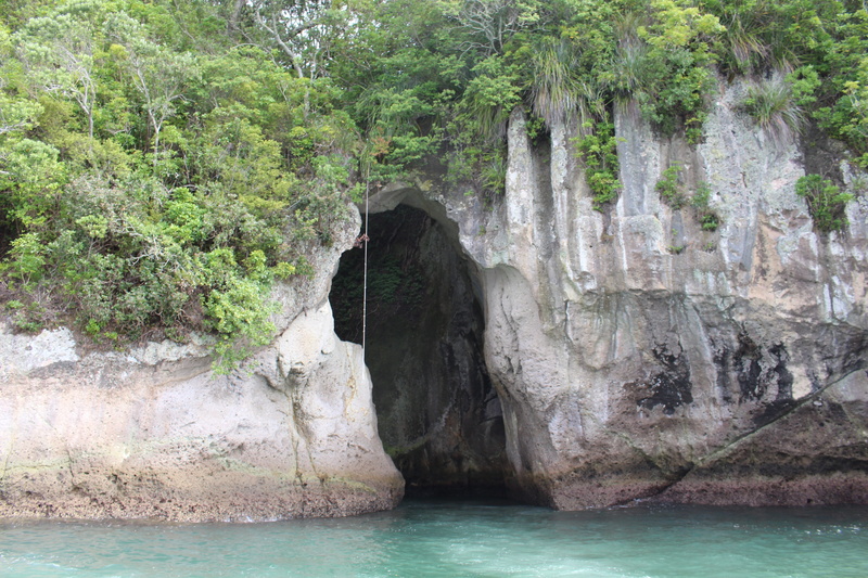 steep, tranquil scene, rock - object, Rock, steinig, tree, blue, New Zealand, old, formation, schroff, flowing water, cave, geology, travel, no people