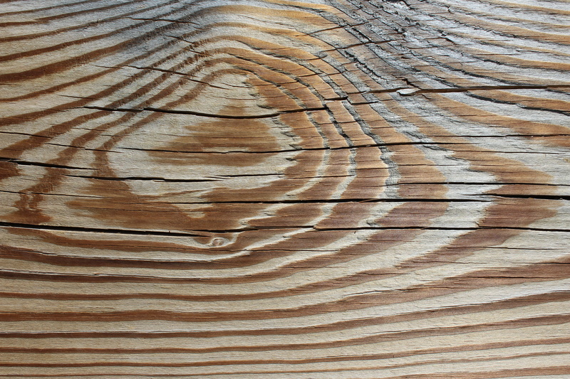 cross section, wood - material, plank, rough, textured, day, concentric, pattern, natural pattern, hardwood, floor, high angle view, old, wooden, backgrounds