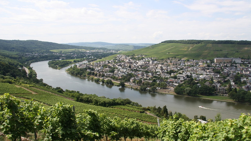 built structure, winegrowing, terraces, tree, vines, wine, wine growing area, Wine, mosel, Mosel, river, 1080P, nature, water, building exterior, cask of mosel wine
