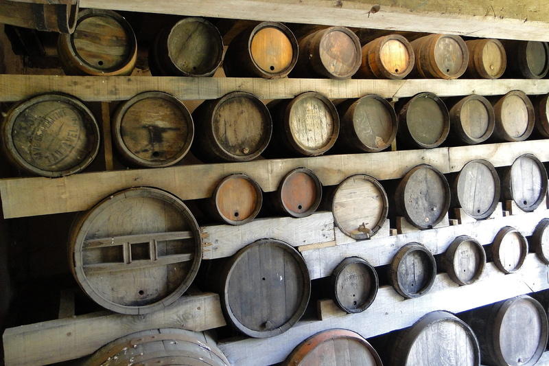 refreshment, grape, barrel, old barrel, wine, barrels, wine cellar, white wine, no people, 1080P, wood, cellar, warehouse, tasting, in a row, large group of objects