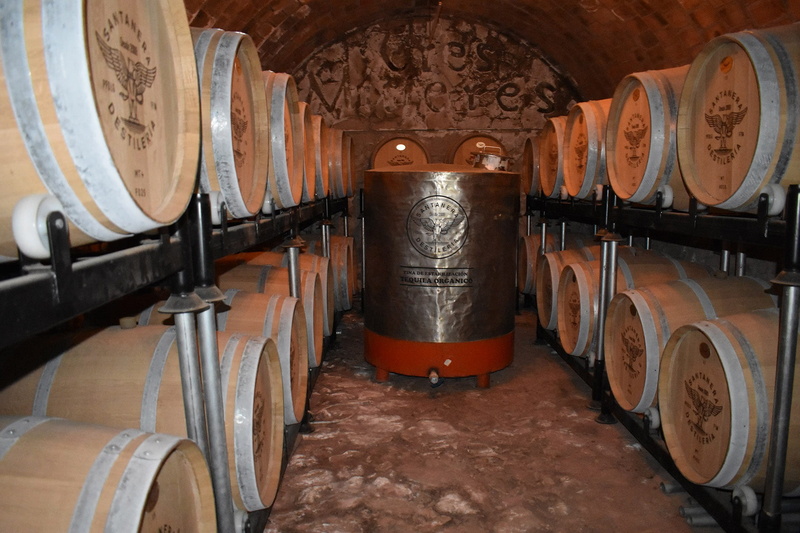 in a row, indoors, winery, cellar, 1080P, keg, alcohol, basement, food and drink industry, barrel, wine, cylinder, business, mexican, winemaking, wood - material