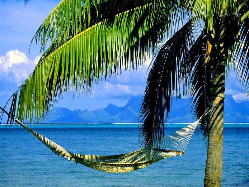 green, blue, white, tree, beautiful, crochet, shore, ocean, tropics, palms, 1080P, peaceful, inviting, hammock, clou, horizons, palm, tropical