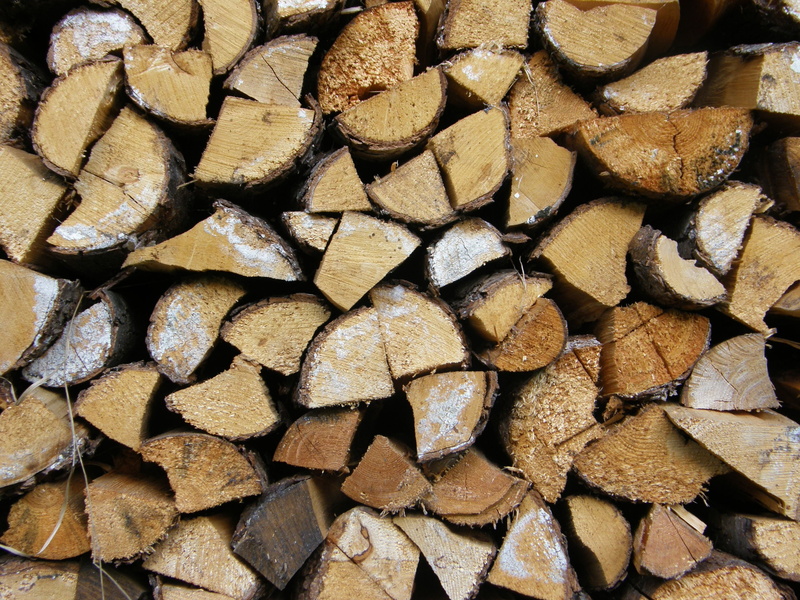 nature, firewood, chunks, brown, full frame, woodpile, tree, abundance, 2K, textured, timber, forest, heap, deforestation, backgrounds, log, lumber industry