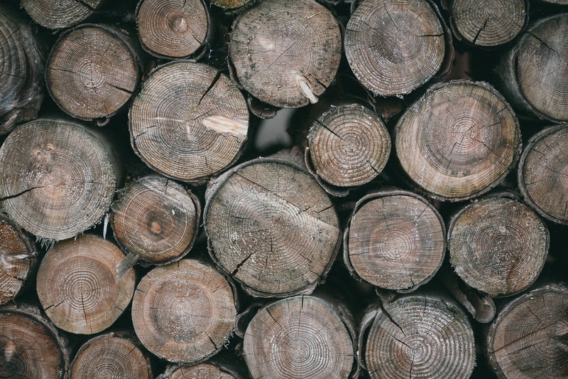 tree, timber, large group of objects, pattern, wood, heap, abundance, 1080P, photography, deforestation, fire, forest, log, firewood, woodpile, fuel and power generation