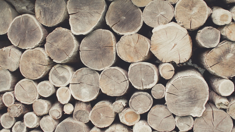 wood - material, chopped, firewood, KTM, tree, full frame, fuel and power generation, log, lumber industry, deforestation, abundance, forest, large group of objects