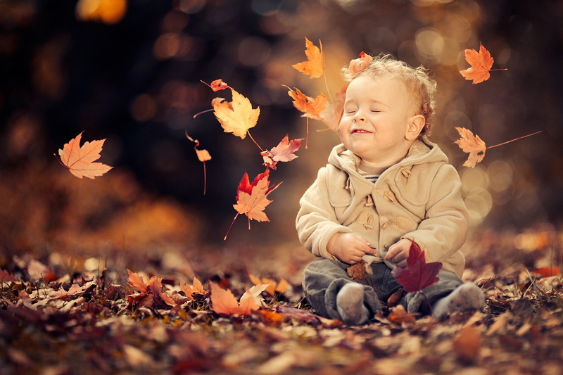child, leaves, 1080P, autumn, mood, boy
