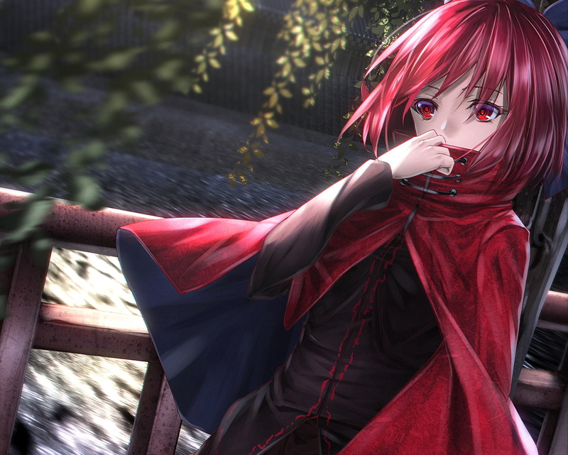 Anime, Touhou, 1080P, Sekibanki (Touhou)