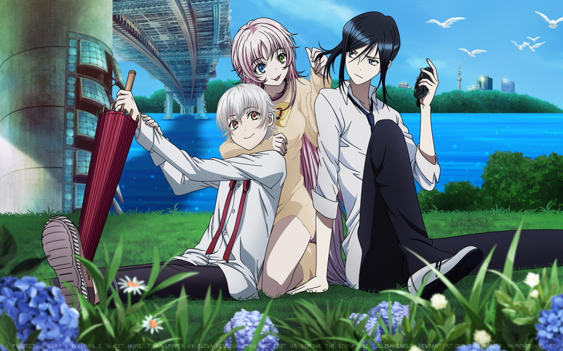 Kuroh Yatogami, Yashiro Isana, K Project, 2K, Neko (K Project), Anime