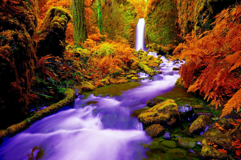 1080P, creek, columbia, river, gorge, waterfalls, ruckel, falls, autumn, oregon, stream
