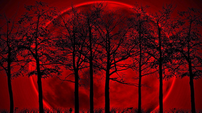 trees, red, nature, 1080P, full moon, moon