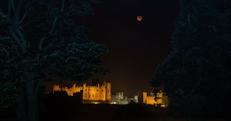 religion, abbey, tree, full moon, the past, no people, building, building exterior, moonlight, history, castle, built structure, nature, night, outdoors