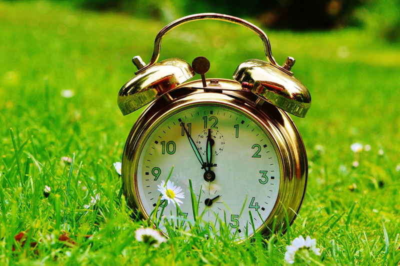 clock, round, time of, colored, the eleventh hour, land, alarm Clock, gold, metal, flowers, accuracy, green, nature, antique, time, ring the bell, close-up