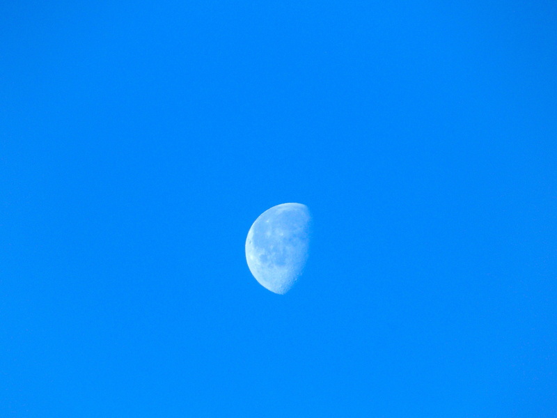 tranquil scene, copy space, weather, space and astronomy, dusk, color, dom, day, low angle view, half moon, astronomy, blue, landscape, tranquility, climate