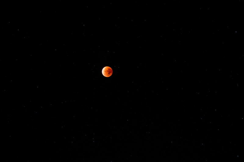 sky, Moon, 1080P, Red moon, night