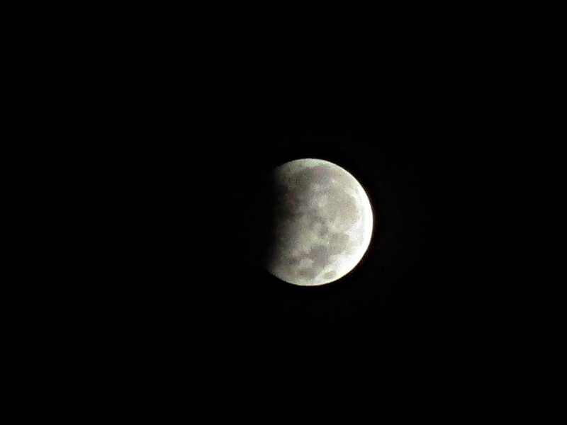 outdoors, half moon, phases, beauty in nature, copy space, planetary moon, moon, 5K, full, nature, dark, eclipse, celestial, space, moon surface, majestic