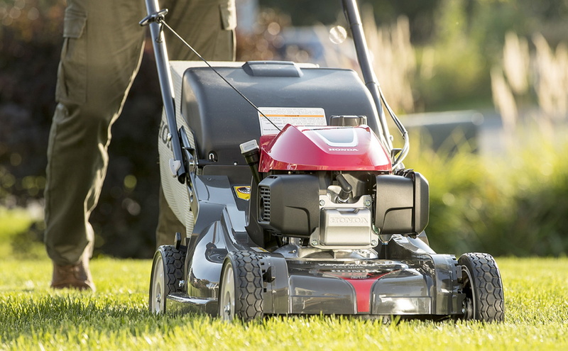field, gardening, 2K, plant, mode of transportation, wheel, honda, technology, nature, one person, toy, occupation, human body part, day, surface level