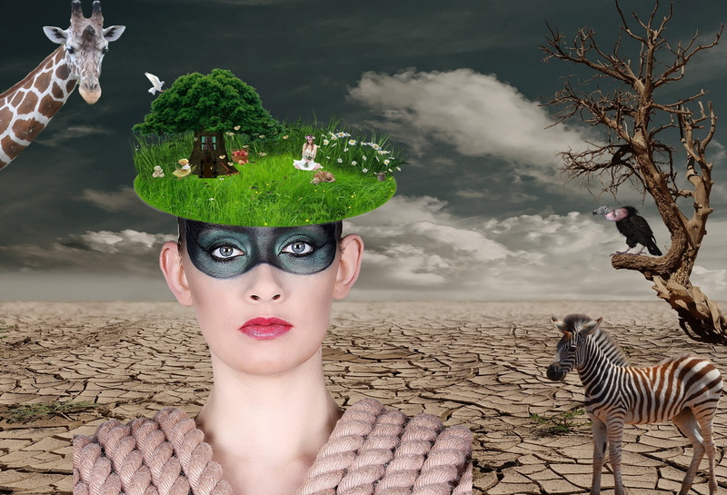 zebra, plant, headshot, 1080P, greeting, mask, beauty, one person, lawn mower, butterflies, mood, fashion, photo, fancy hat, dove, sky, expressive, vulture