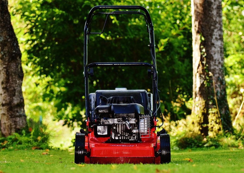 cut, rush, green color, focus on foreground, forest, gardening, mode of transportation, technology, trees, red, outdoors, black, transportation, tree, toy car