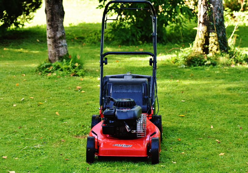 5K, tree, no people, cut, black, meadow, technology, day, machinery, lawn, red, park, green Color, swing, toy, playground, mow, lawn mowing, growth, tree trunk