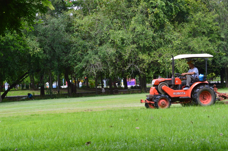 5K, outdoors, land, field, lawn, day, real people, agricultural equipment, mowers, transportation, green color, growth, park, gardening, grass, land vehicle
