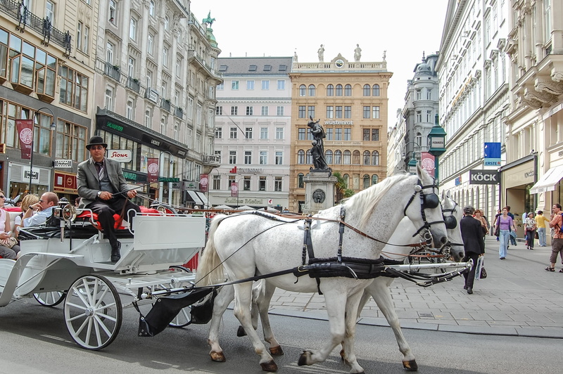 horse, working animal, mode of transportation, livestock, architecture, built structure, domestic, animal, city, street, cart, horse carriage, road, on road