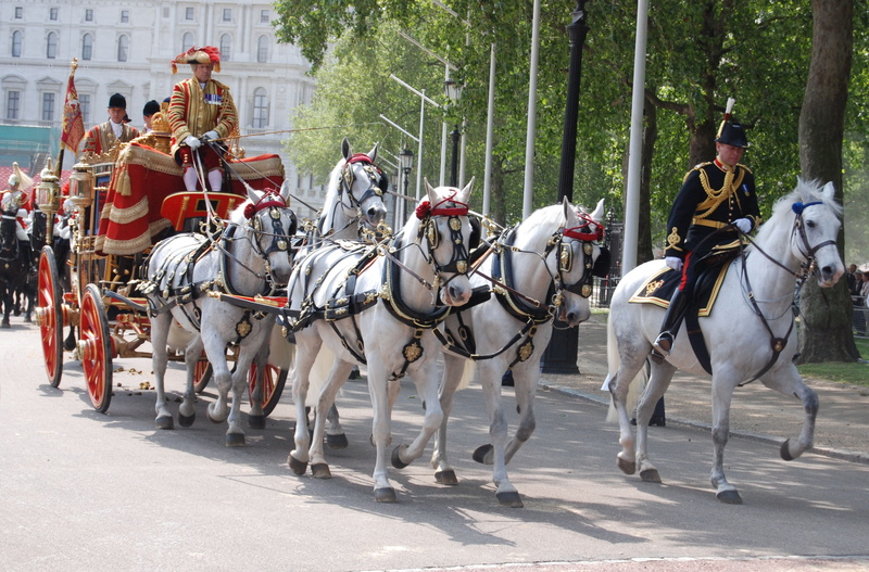 white, traditional, plant, black, real people, horse, outdoors, pulling, transportation, working animal, herbivorous, carriage, horses, domestic, transport