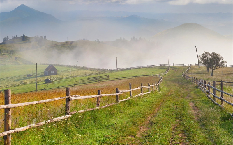 tranquil scene, field, sky, village, barrier, land, day, fog, landscape, outdoors, plant, scenics - nature, livestock, grass, fence, beauty in nature, nature