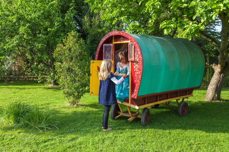 Girl, fashion, standing, boho, tray, full length, plant, leisure activity, passing, mode of transportation, hampshire, grass, real people, Children, play