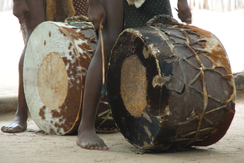 musical instrument, ethnic, animal wildlife, arts culture and entertainment, close-up, mammal, healthy eating, south africa, music, front view, nature
