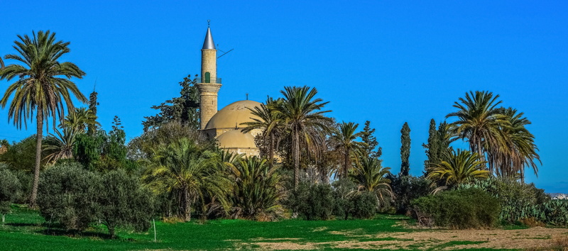 religion, palm tree, built structure, castle, tropical climate, surrounded, nature, cyprus, mosque, muslim, place of worship, clear sky, spirituality, building exterior