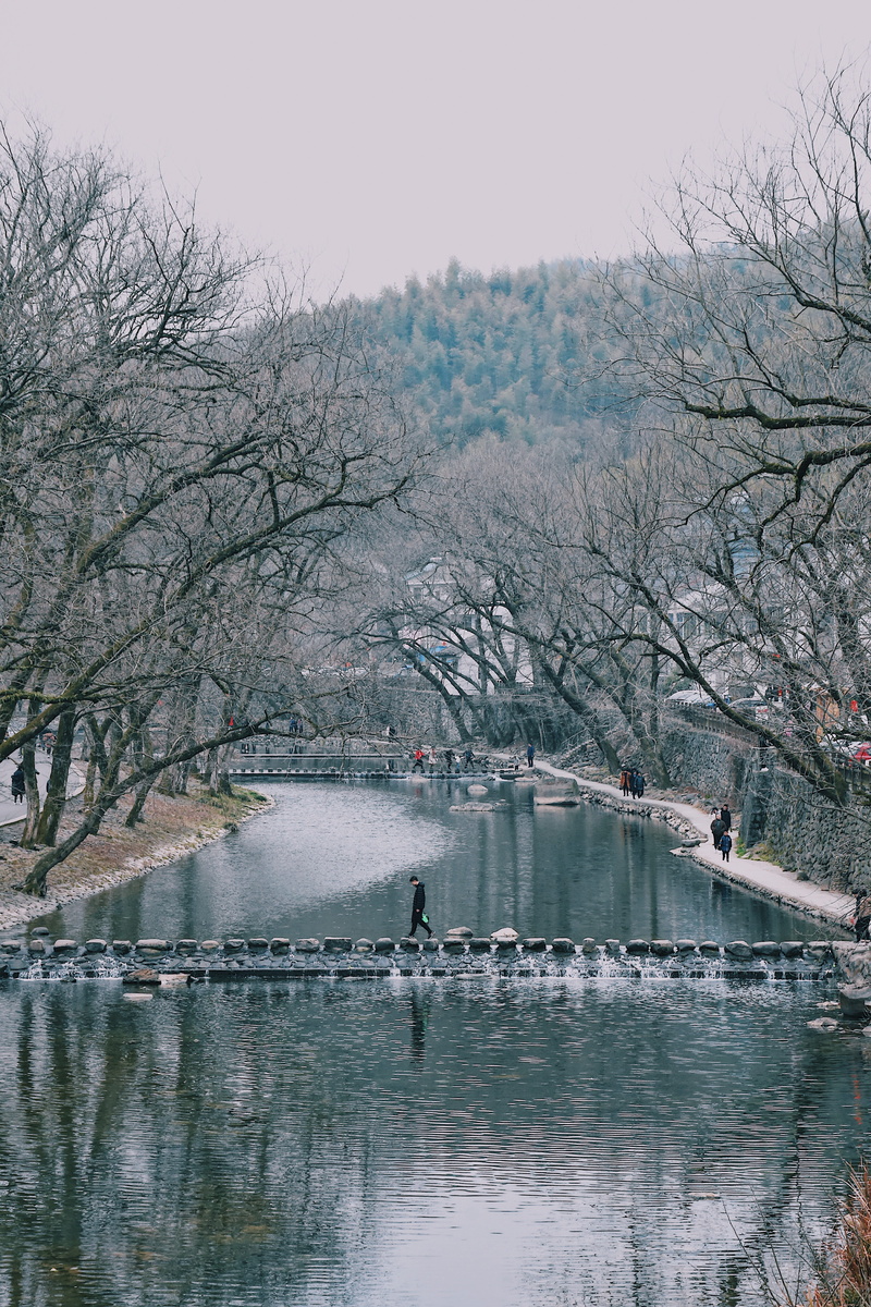 bare tree, animal wildlife, silhouette, people, 5K, winter time, explore, vertebrate, branch, sky, bird, lake, daytime, outdoors, stone, no people, tranquility