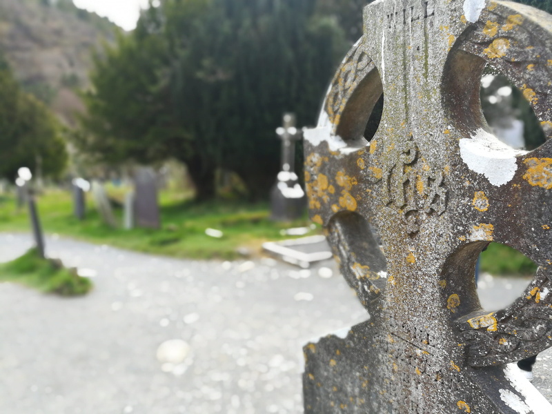 cross, stone, celts, tree, outdoors, grave, day, architecture, selective focus, built structure, no people, celtic cross, in the, monastery, religion, plant