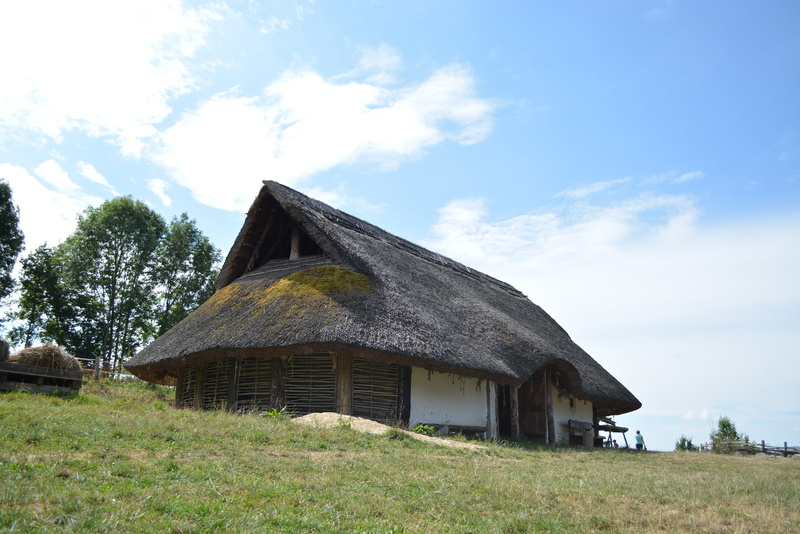 celts, cottage, celtic cottage, landscape, house, tree, grass, sky, old, building, growth, sunlight, building exterior, built structure, plant, hut, cloud - sky