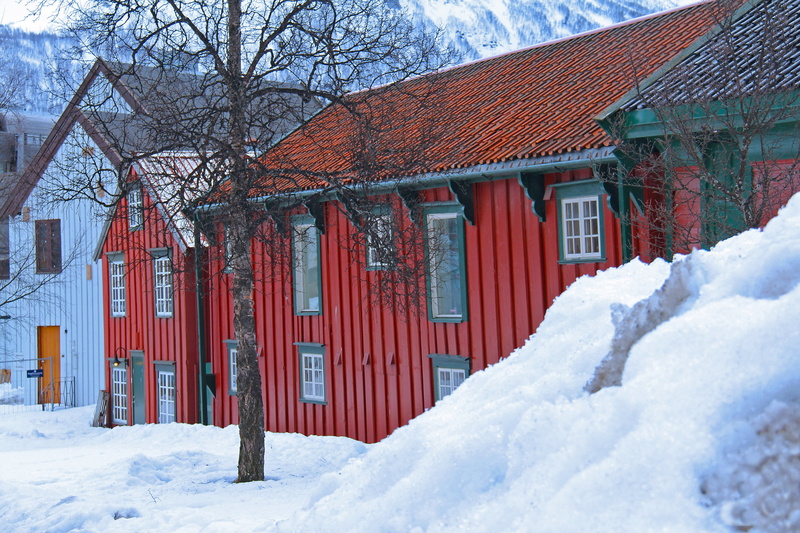 journey, scandinavia, no people, norway, arctic, travel, the arctic circle, scenic, tromso, cottage, tree, residential district, nature, cold temperature