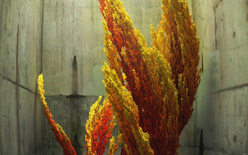 digital art, abstract, 1080P, fire, urban decay, 3D, CGI